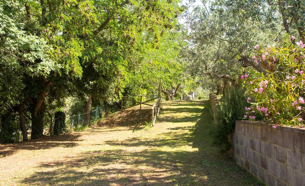 Blucamp Natural Village カンピーリア・マリッティマ エクステリア 写真
